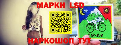 твердый Новодвинск