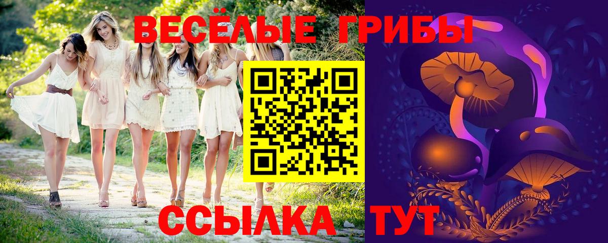 купить  сайты  Галлюциногенные грибы мухоморы  Вход с VPN  Санкт-Петербург  Псилоцибиновые грибы мицелий 