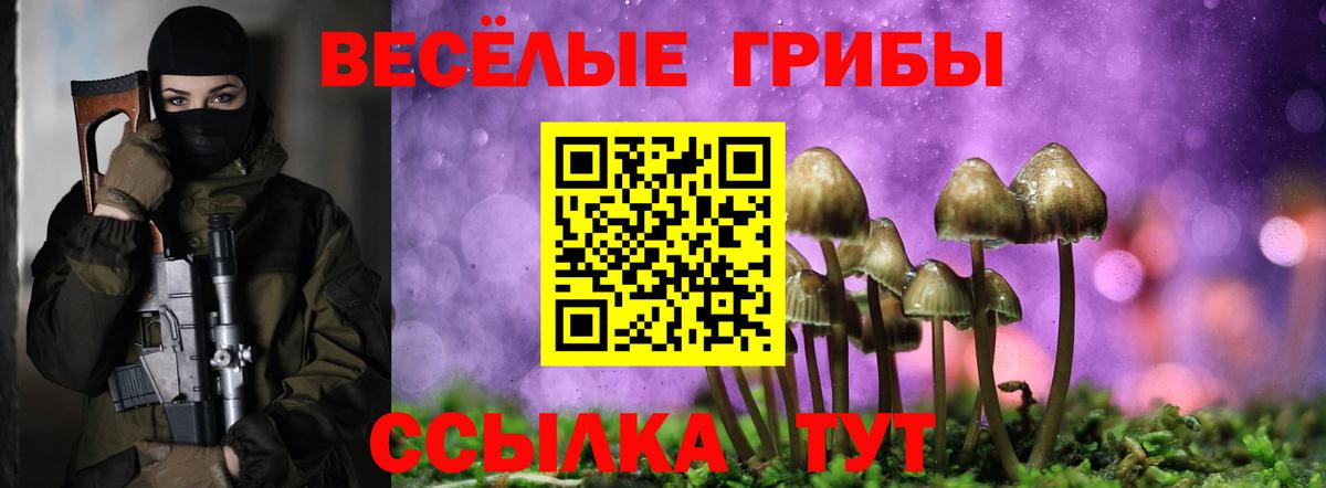 Псилоцибиновые грибы MAGIC MUSHROOMS Санкт-Петербург